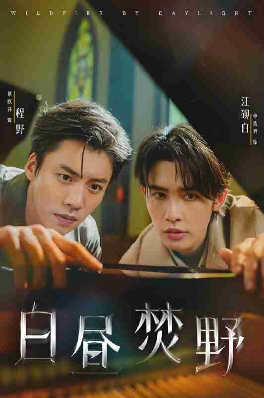 短剧《白昼焚野》免费在线观看