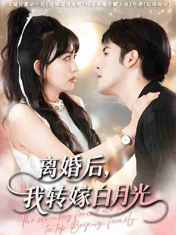 短剧《离婚后我转嫁白月光》免费在线观看