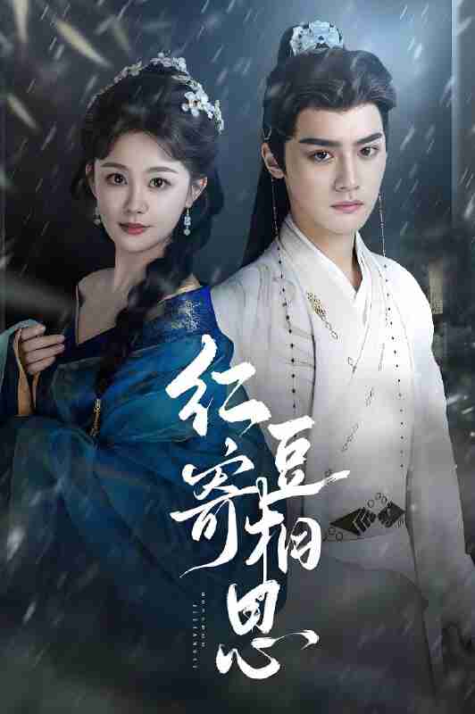 短剧《红豆寄相思》免费在线观看