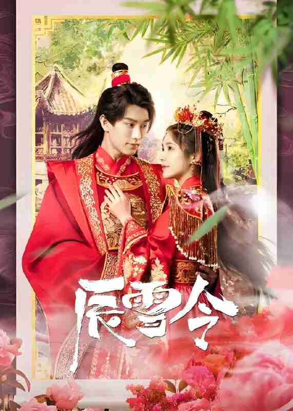 短剧《辰雪令》免费在线观看