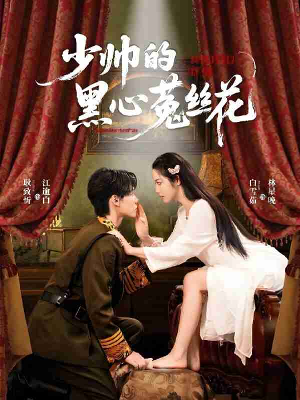 短剧《少帅的黑心菟丝花》免费在线观看