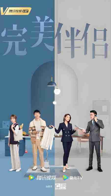 国产剧《完美伴侣》免费在线观看