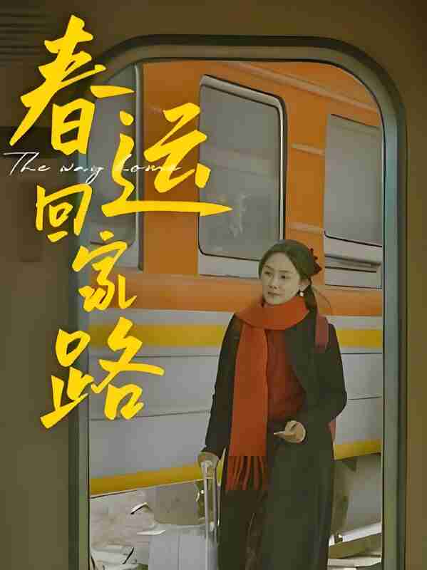 短剧《春运回家路》免费在线观看