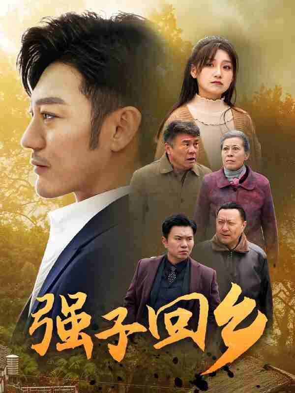 短剧《强子回乡》免费在线观看