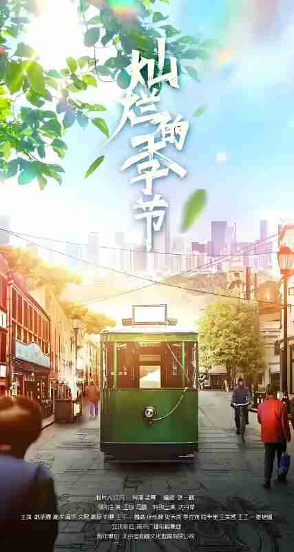 国产剧《灿烂的季节》免费在线观看