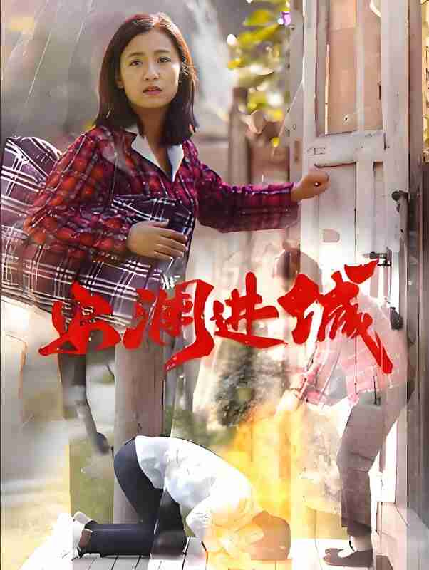 短剧《安澜进城》免费在线观看