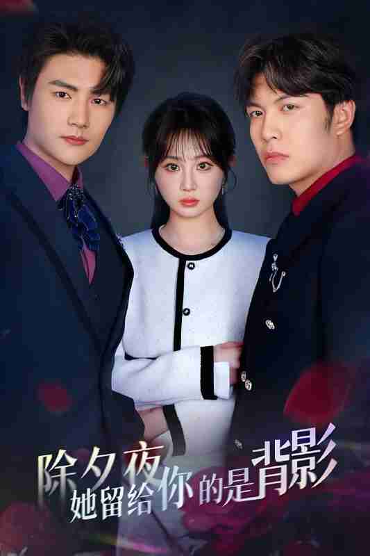 短剧《除夕夜她留给你的是背影》免费在线观看