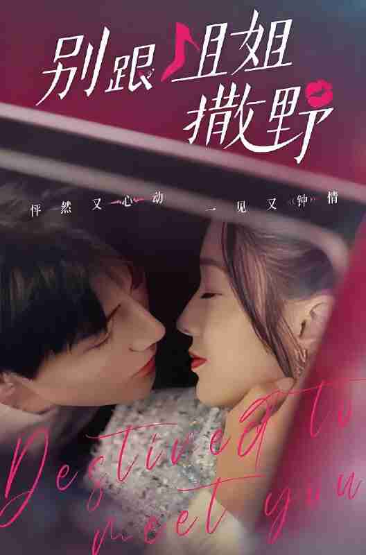 短剧《别跟姐姐撒野》免费在线观看