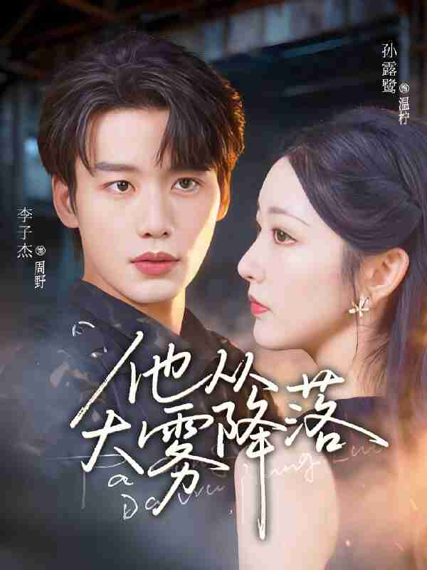 短剧《他从大雾降落》免费在线观看