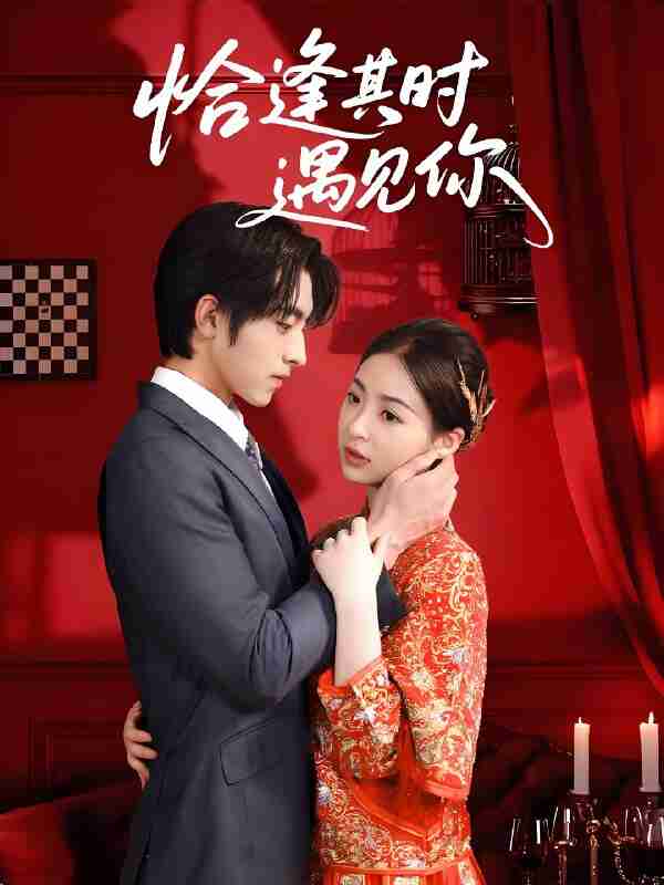 短剧《恰逢其时遇见你》免费在线观看