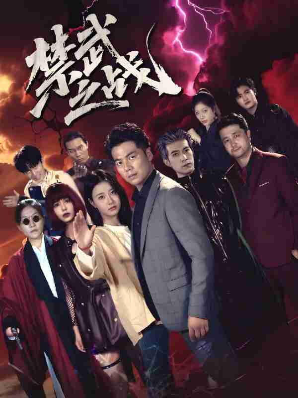 短剧《禁武之战》免费在线观看