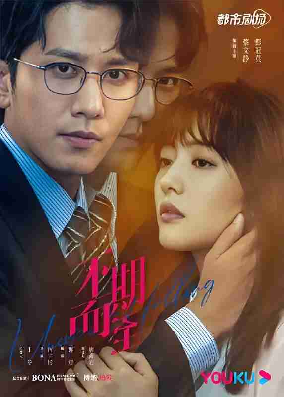 国产剧《不期而至》免费在线观看