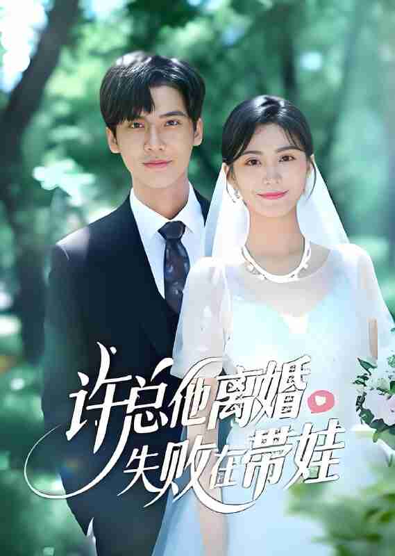 短剧《许总他离婚失败在带娃》免费在线观看