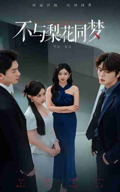 短剧《不与梨花同梦》免费在线观看