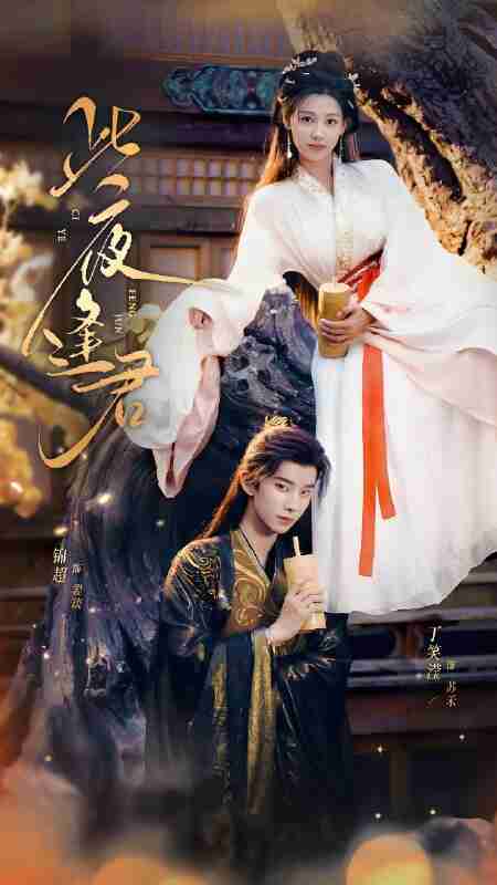 短剧《此夜逢君》免费在线观看