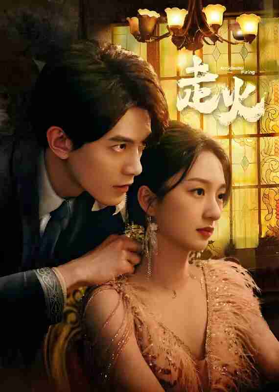 国产剧《走火》免费在线观看