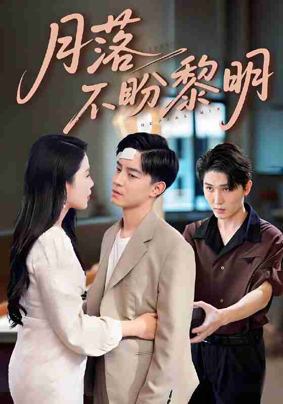 短剧《月落不盼黎明》免费在线观看