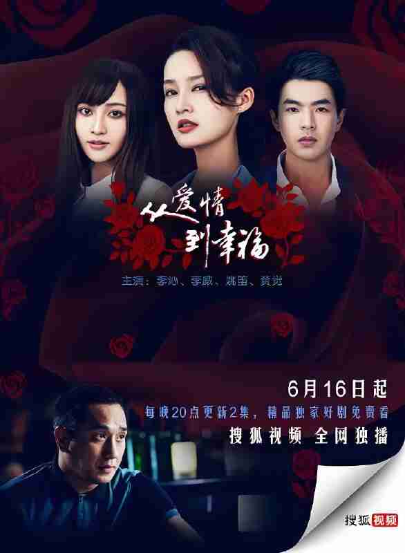 国产剧《从爱情到幸福》免费在线观看