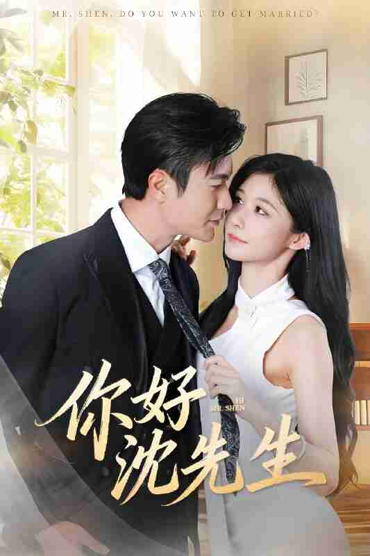 短剧《你好沈先生》免费在线观看