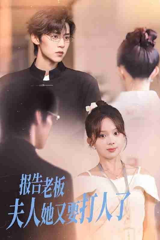 短剧《报告老板夫人她又要打人了》免费在线观看