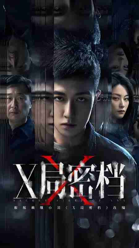 国产剧《X局密档》免费在线观看