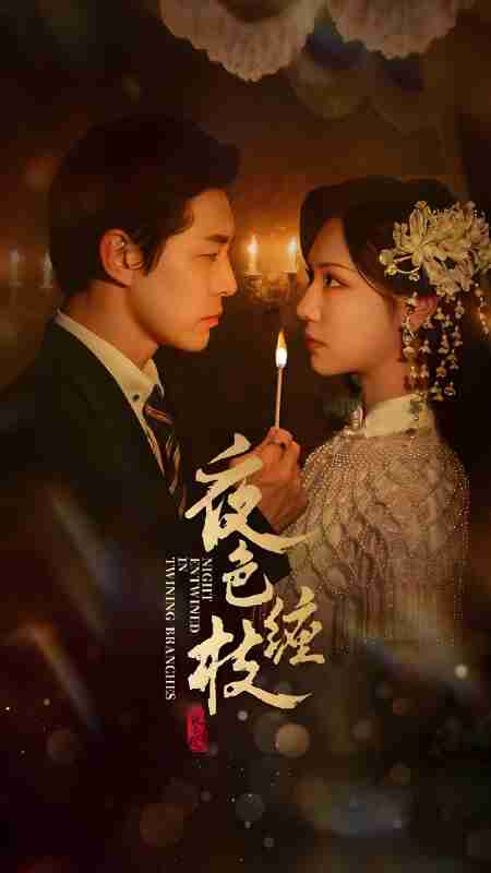 短剧《夜色缠枝》免费在线观看