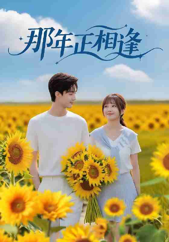 短剧《那年正相逢》免费在线观看