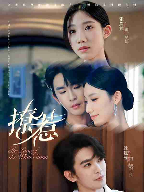 短剧《撩惹》免费在线观看