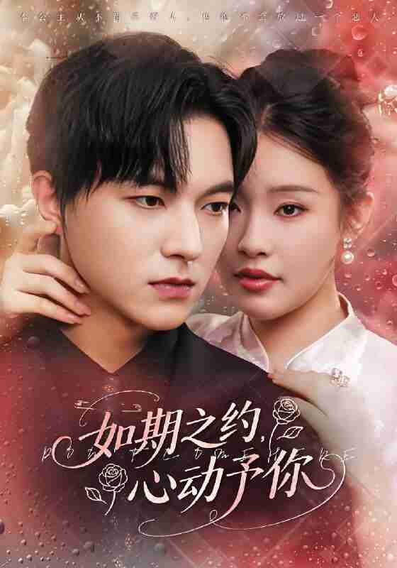 短剧《如期之约心动予你》免费在线观看