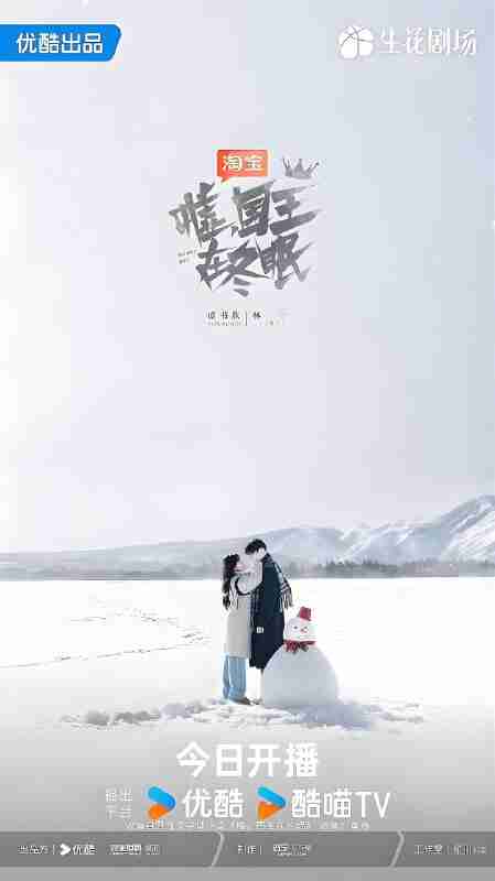 国产剧《嘘国王在冬眠》免费在线观看