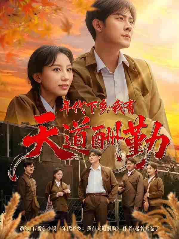 短剧《年代下乡我有天道酬勤》免费在线观看