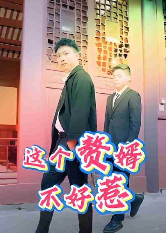 短剧《这个赘婿不好惹》免费在线观看