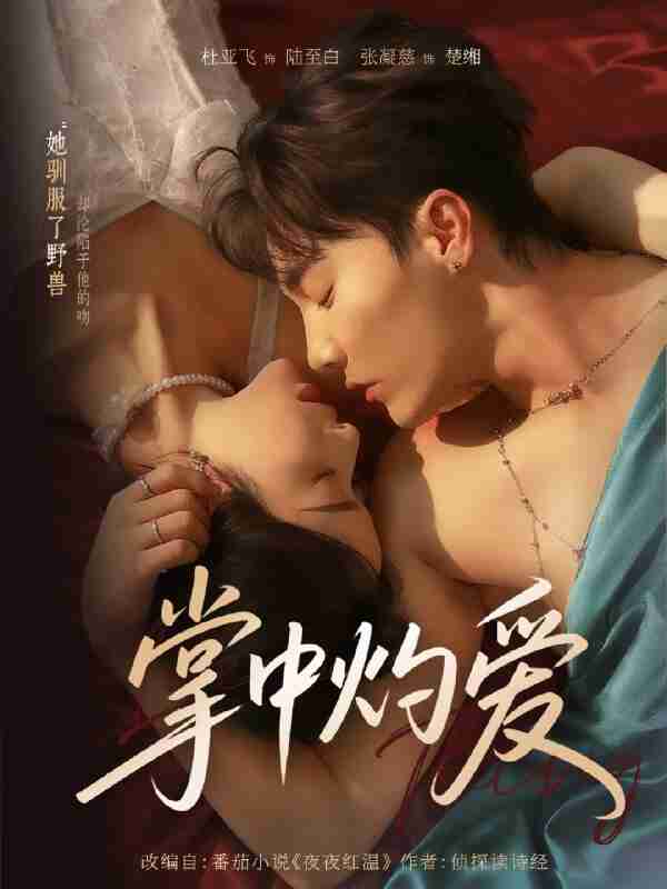 短剧《掌中灼爱》免费在线观看