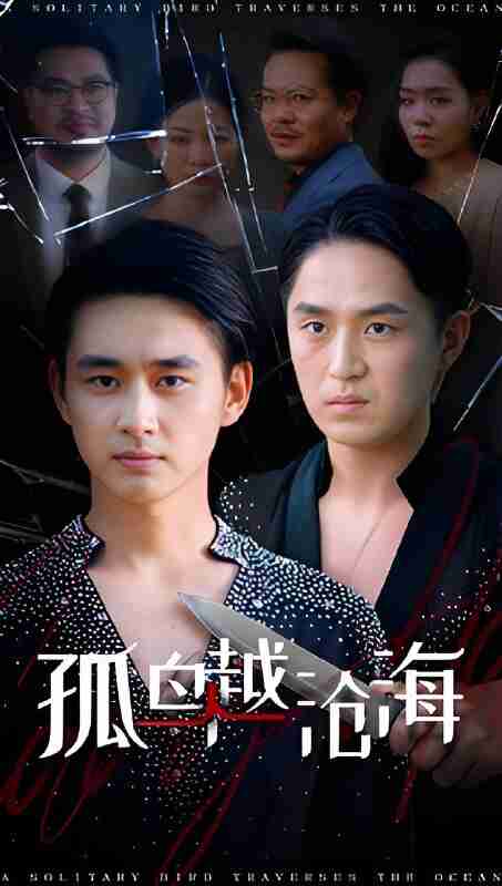 短剧《孤鸟越沧海》免费在线观看