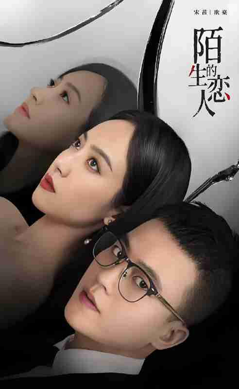 国产剧《陌生的恋人》免费在线观看