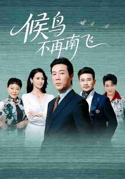 短剧《候鸟不再南飞》免费在线观看