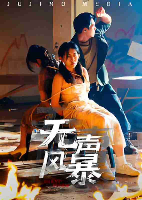 短剧《无声风暴》免费在线观看