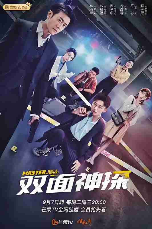 国产剧《双面神探》免费在线观看