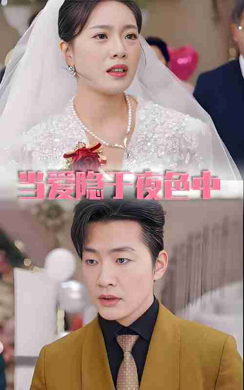 短剧《当爱隐于夜色中》免费在线观看