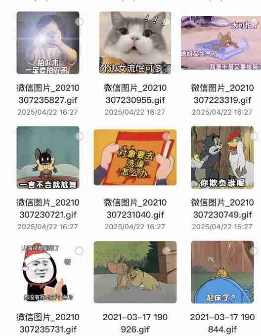 [素材]《各种搞笑表情包合集》 [夸克网盘]