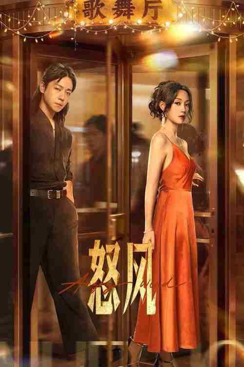 电视短剧《怒风》 (2025)4K【全集】HiveWeb