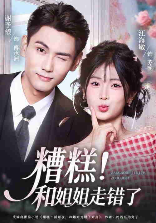 糟糕！和姐姐走错了 (2025)