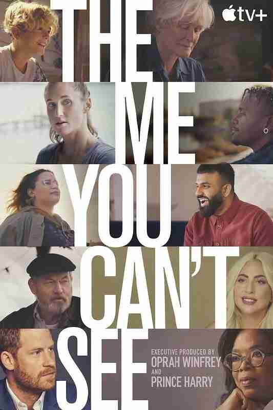 你看不见的我 (2021) 1080P 全集 外挂简繁英字幕