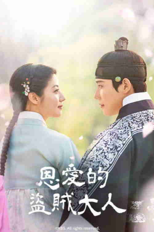 恩爱的盗贼大人 (2026)