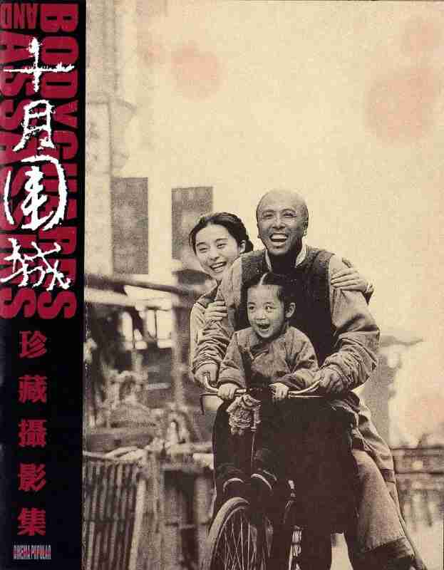 十月围城(2009)【甄子丹/梁家辉】【1080p 原盘REMUX】【国粤双语】