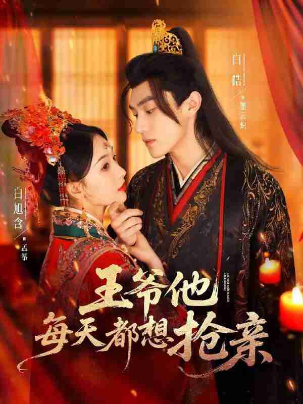 王爷他每天都想抢亲（2025）1080p S01全 HiveWeb