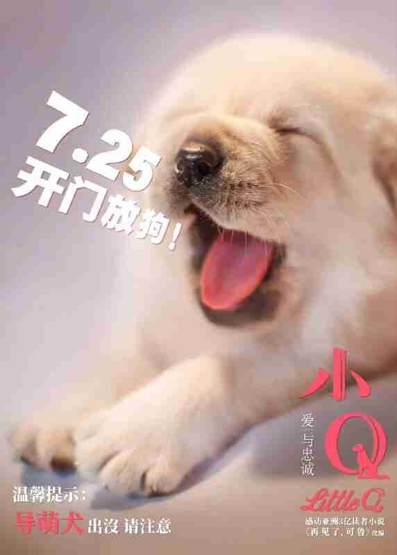 [日本]电影《导盲犬小Q》2004 AMZN 1080p [夸克网盘]