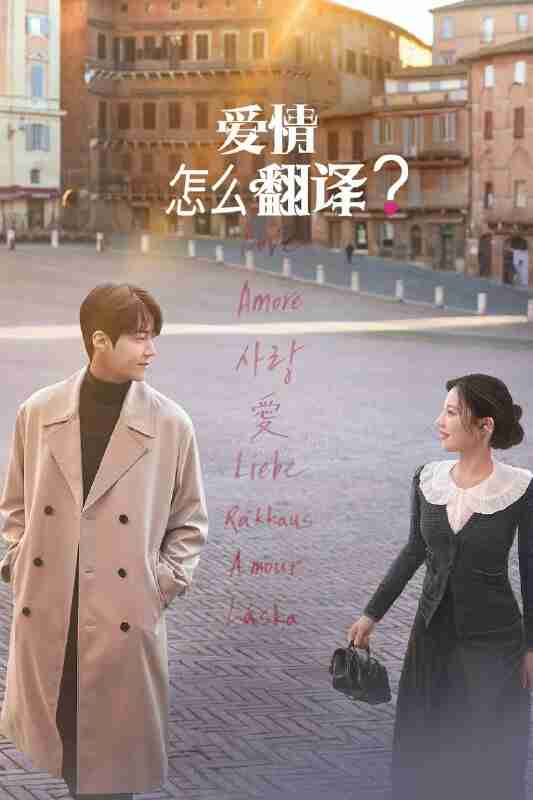 爱情怎么翻译？（2026）NF 4K DV&HDR 国韩英音轨 内封台配简繁 全12集