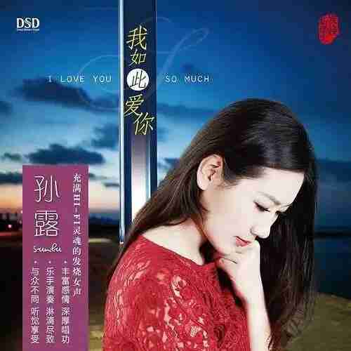 孙露 我如此爱你 D<strong>SD</strong>