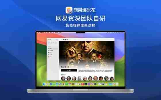 【官网推荐】网易爆米花 - 免费将网盘打造成影视库的播放器(自动刮削电影海报墙) -聚合各大网盘资源，多平台支持！